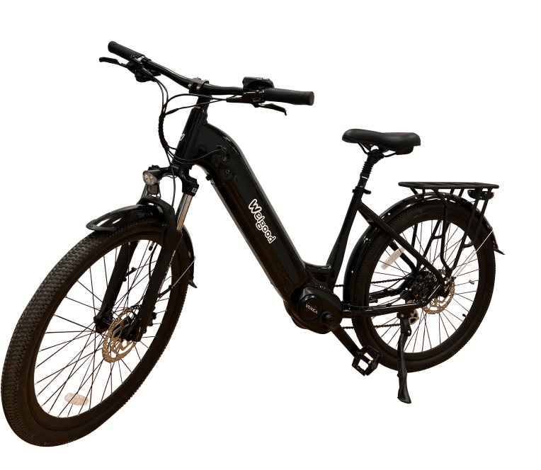 Bicicleta eléctrica